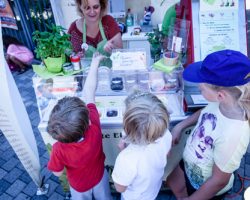 Buckauer Ferienauftakt