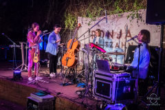 Ronja Maltzahn - Konzert Volksbad Buckau