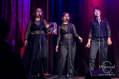 elfyn.smal-412-wenzel.oschington