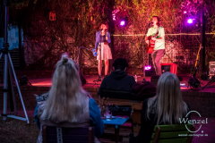 gold.hoax_.smal-402-wenzel-oschington