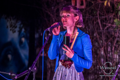 gold.hoax_.smal-412-wenzel-oschington