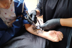 IMG_20240818_173125193