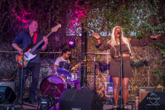 Dvora Davis & Soul Thrivers