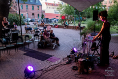 esinam-smal-403-wenzel-oschington