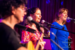 rada.synergica.smal-406-wenzel-oschington